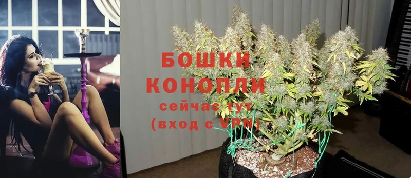 купить наркотик  kraken маркетплейс  Шишки марихуана White Widow  Хотьково 